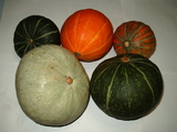 カボチャ１